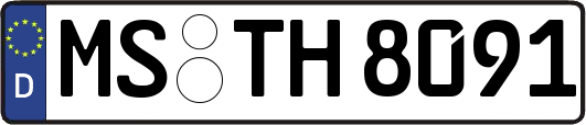 MS-TH8091