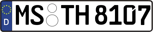 MS-TH8107