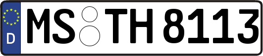 MS-TH8113