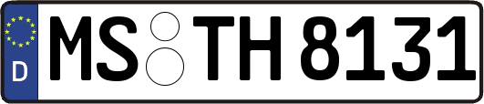 MS-TH8131