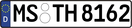 MS-TH8162