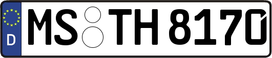 MS-TH8170