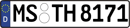MS-TH8171