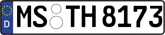 MS-TH8173