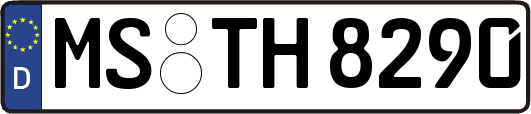 MS-TH8290