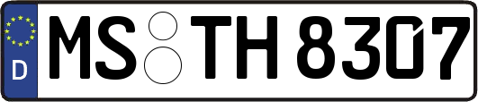 MS-TH8307