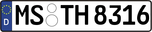 MS-TH8316