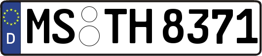 MS-TH8371