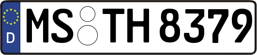 MS-TH8379