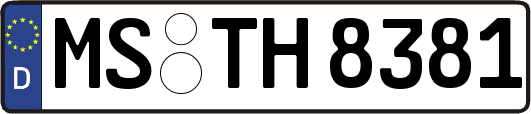 MS-TH8381