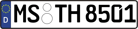 MS-TH8501