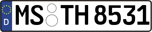 MS-TH8531