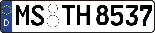 MS-TH8537