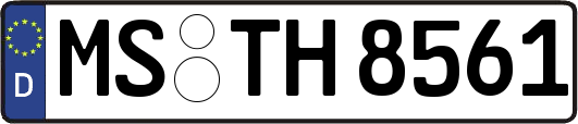 MS-TH8561