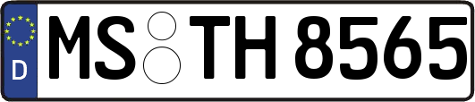 MS-TH8565