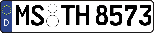 MS-TH8573