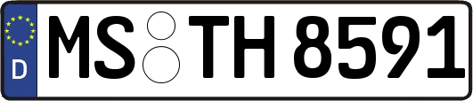 MS-TH8591