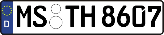 MS-TH8607