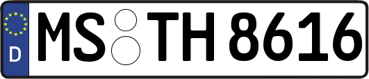 MS-TH8616