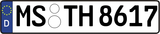 MS-TH8617
