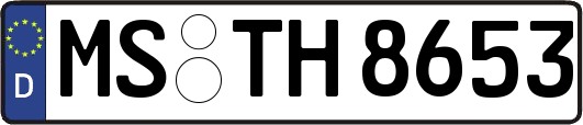 MS-TH8653