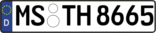 MS-TH8665