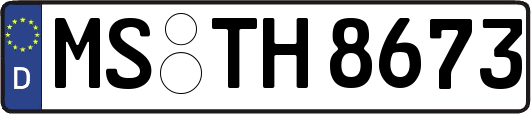 MS-TH8673