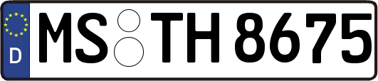 MS-TH8675