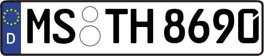 MS-TH8690