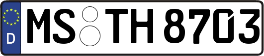 MS-TH8703