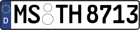 MS-TH8713