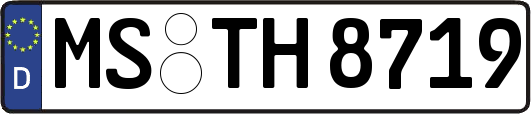 MS-TH8719