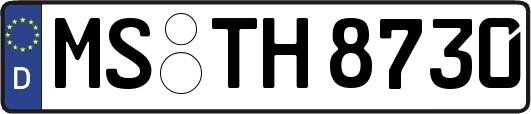 MS-TH8730