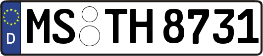 MS-TH8731