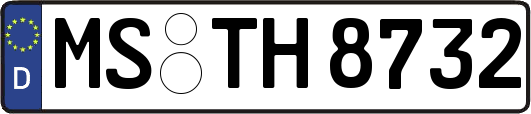 MS-TH8732