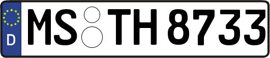 MS-TH8733