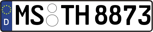 MS-TH8873