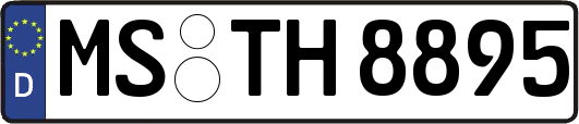MS-TH8895