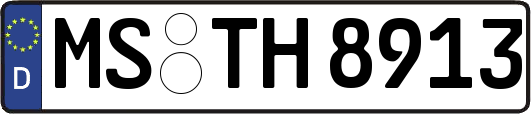 MS-TH8913