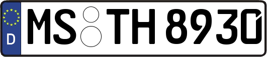 MS-TH8930