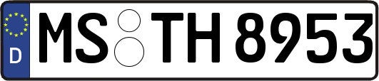MS-TH8953