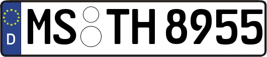 MS-TH8955