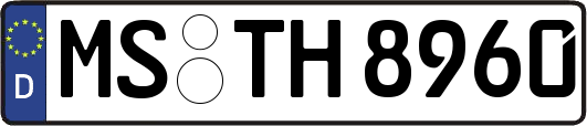 MS-TH8960