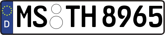 MS-TH8965
