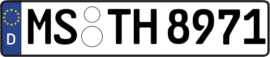 MS-TH8971