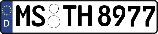 MS-TH8977