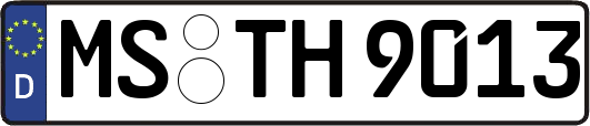MS-TH9013