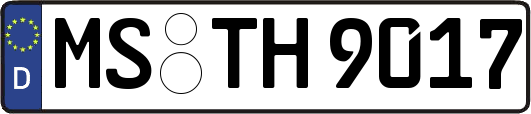 MS-TH9017