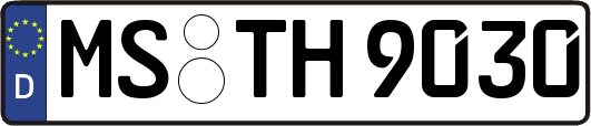 MS-TH9030