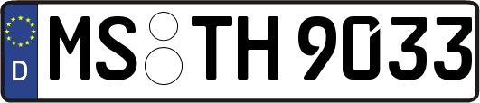 MS-TH9033